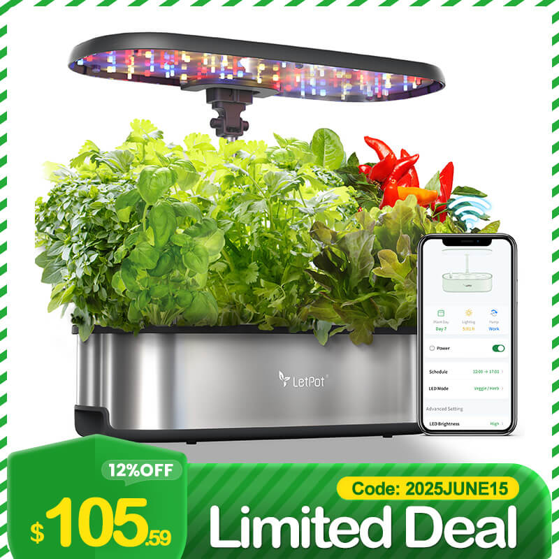 Grow Smart: Starting a Hydroponics Business in Malaysia